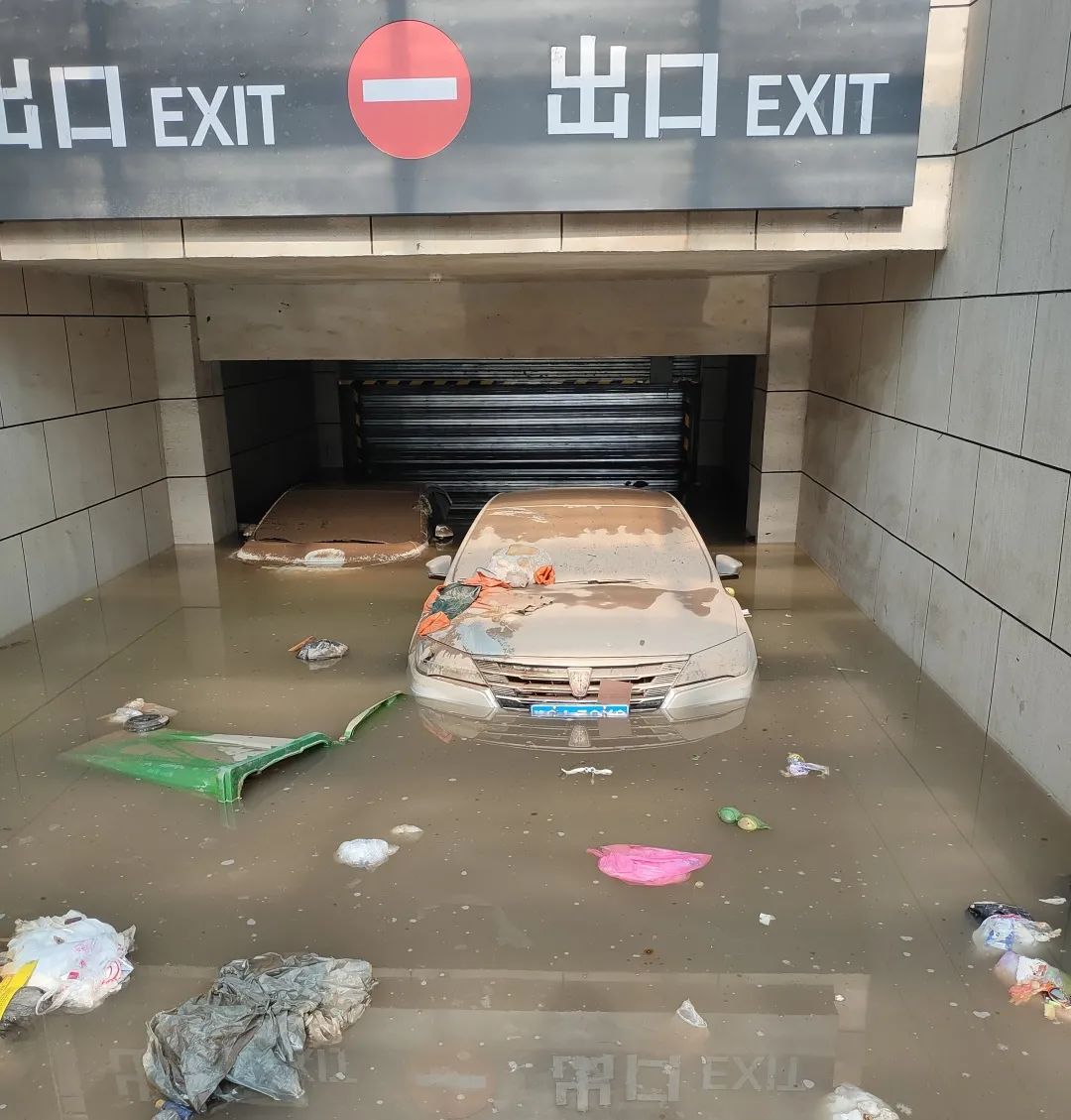 河南抗洪救灾中的“必威官方首页官网”力量(图3)